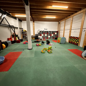 VOL GEBOEKT Indoor SnuffelExperience bij WoofExperience zondag 10-8