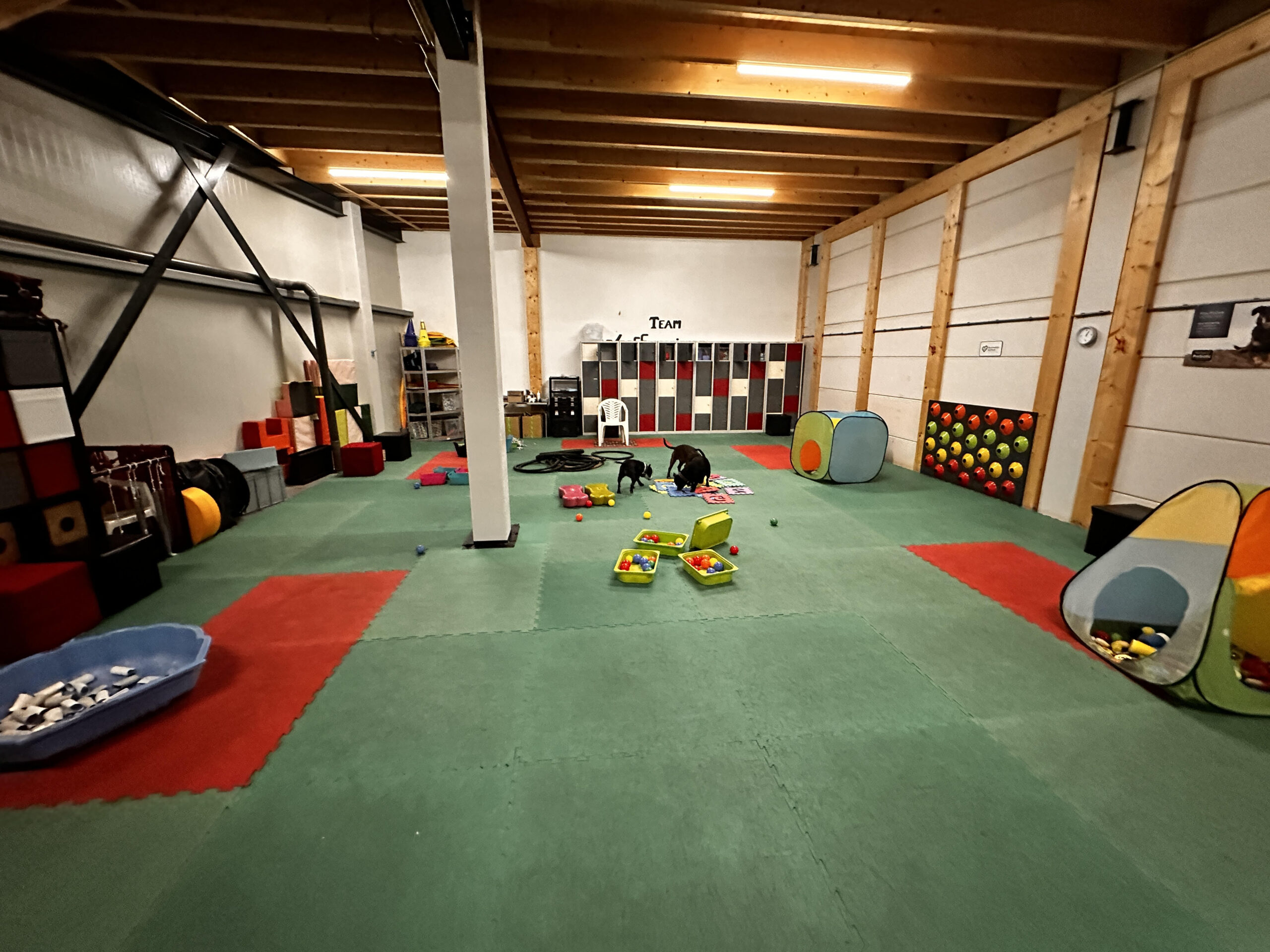 VOL GEBOEKT Indoor SnuffelExperience bij WoofExperience zondag 10-8
